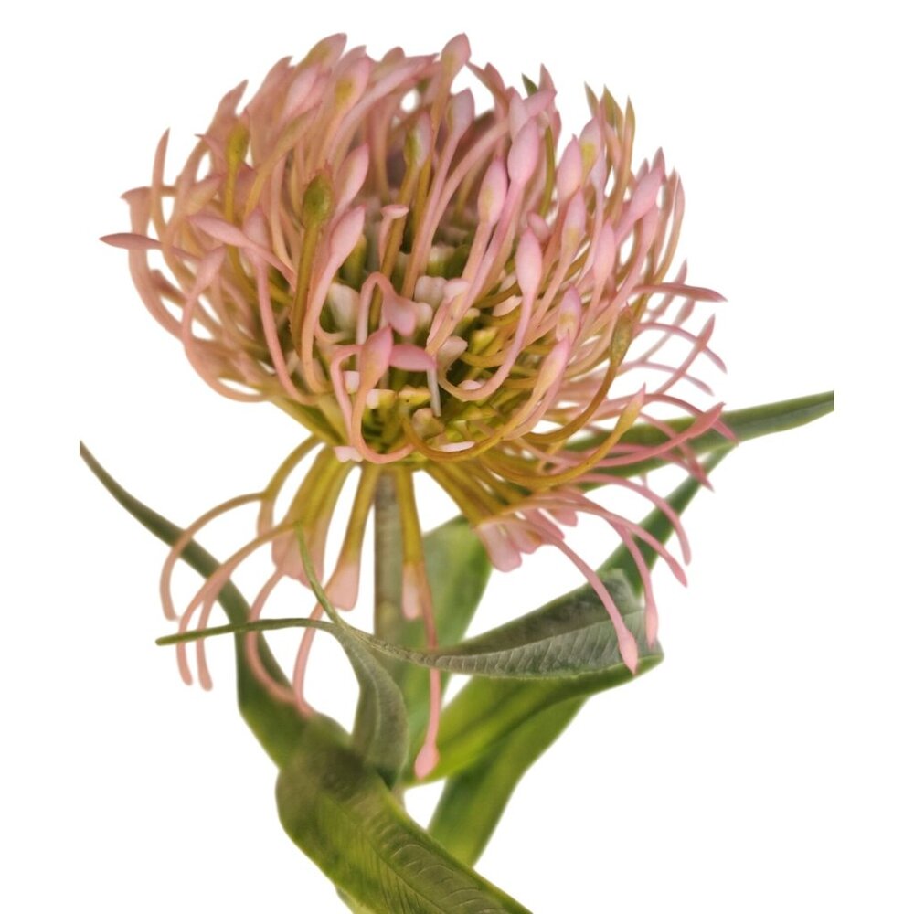 Pink Blush Pincushion Protea Stem Faux Protea Flower Artificial Floral Decor - Picture 7 of 10